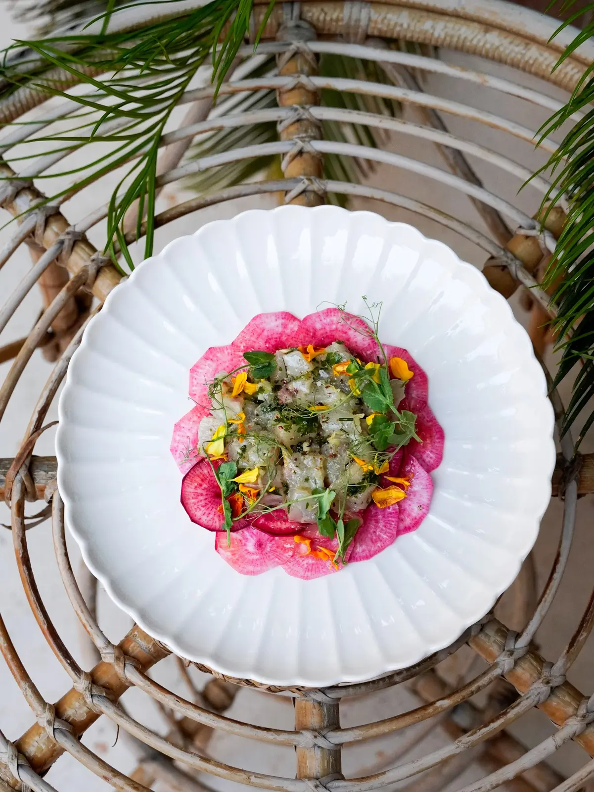 Assiette de betteraves vue de dessus